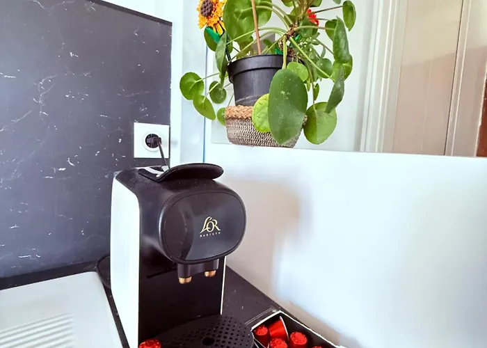 Centre Jolie Vue Spacieux *